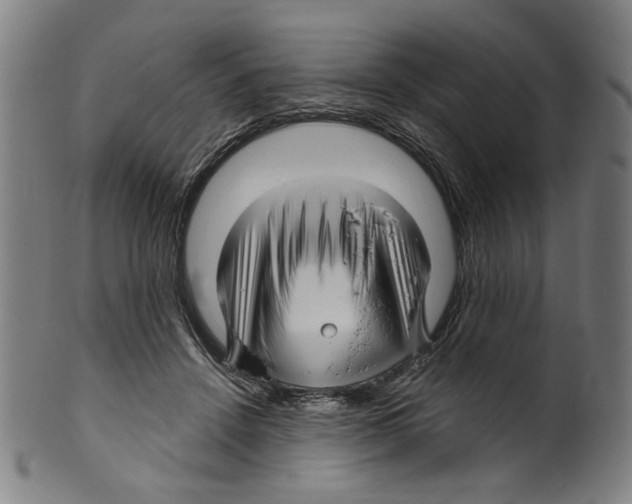 X0000099420456200806060959