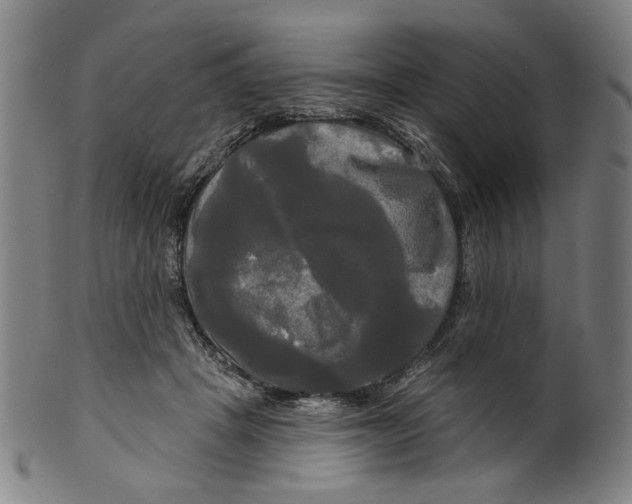 X0000099420457200806060959