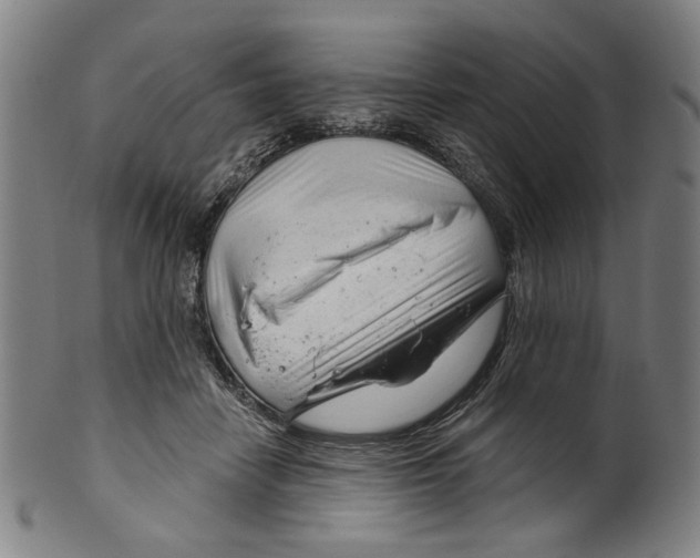 X0000099420458200806060959
