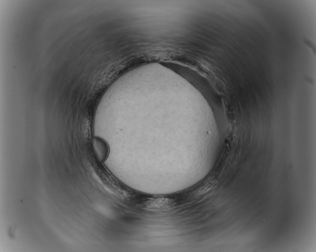 X0000099420459200806060959