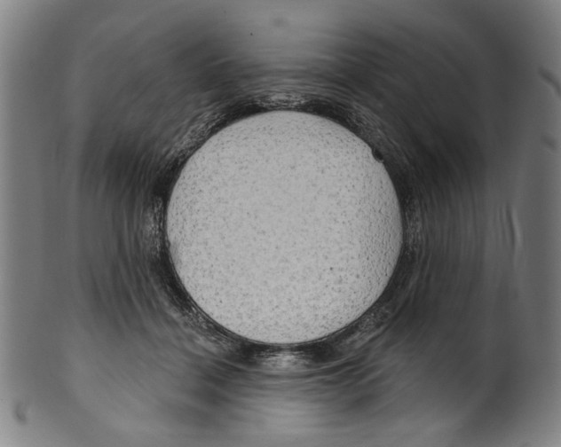 X0000099420460200806060959