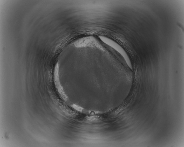 X0000099420461200806060959