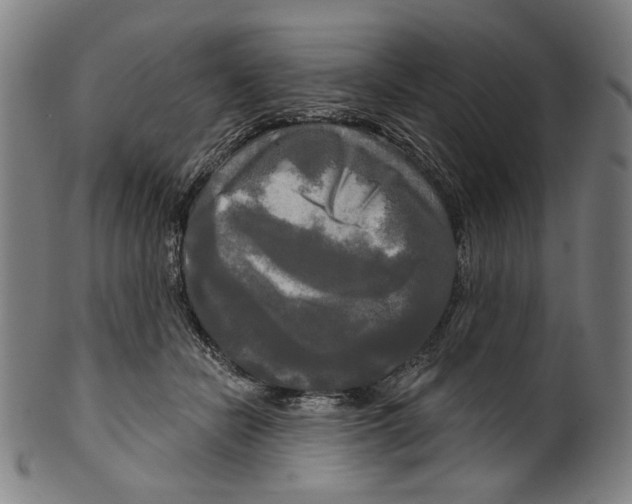 X0000099420462200806060959
