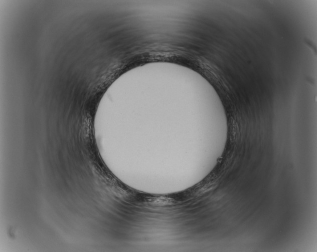 X0000099420463200806060959
