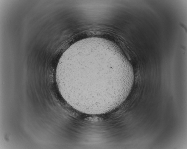 X0000099420464200806060959