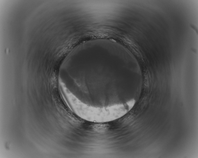 X0000099420465200806060959