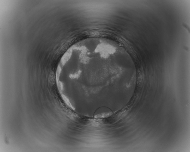 X0000099420469200806060959