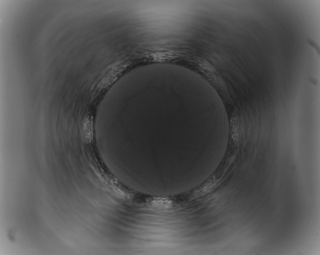 X0000099420471200806060959
