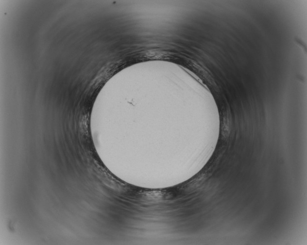 X0000099420473200806060959