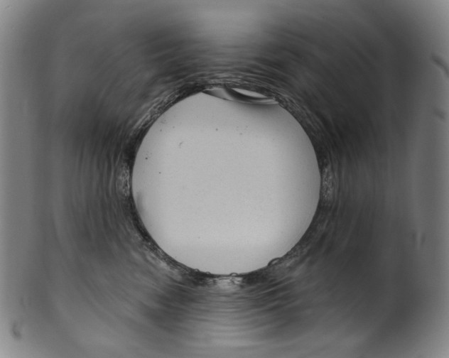 X0000099420474200806060959