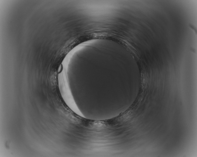 X0000099420475200806060959