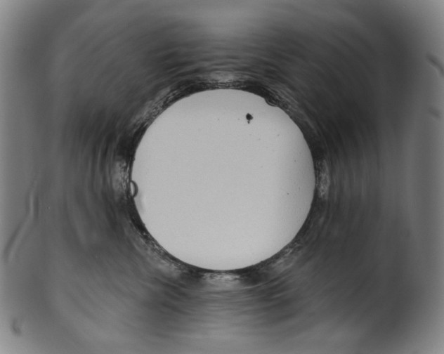 X0000099420476200806060959