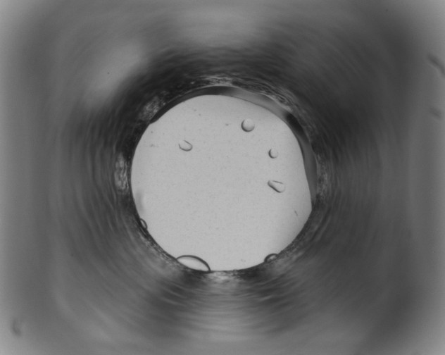 X0000099420477200806060959