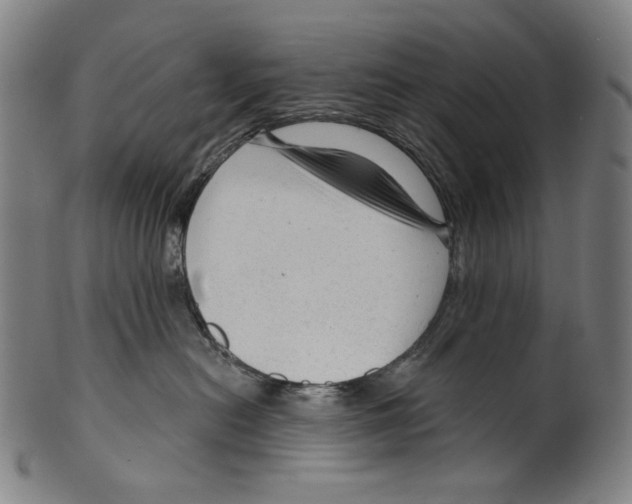 X0000099420478200806060959