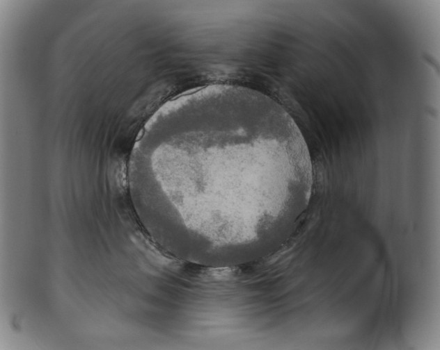 X0000099420479200806060959