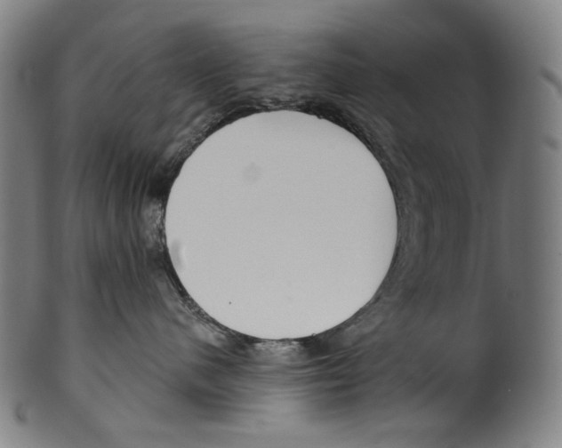 X0000099420480200806060959