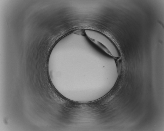 X0000099420481200806060958