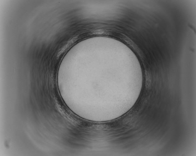 X0000099420482200806060958