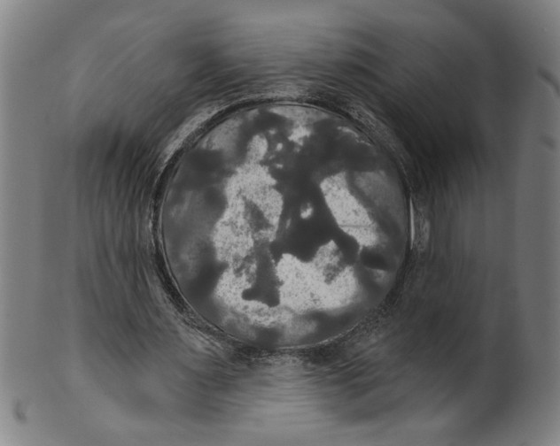 X0000099420483200806060958
