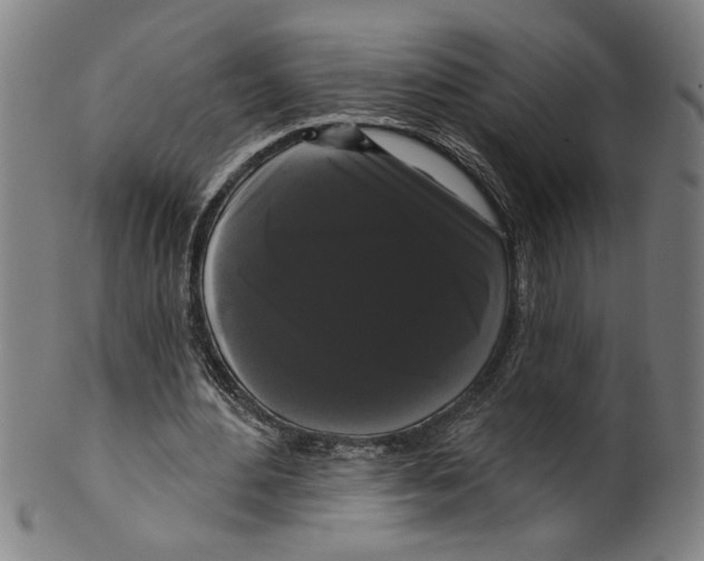 X0000099420484200806060958