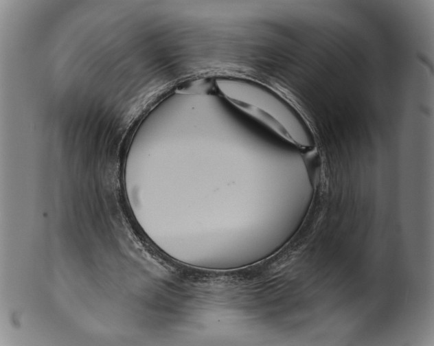 X0000099420485200806060958