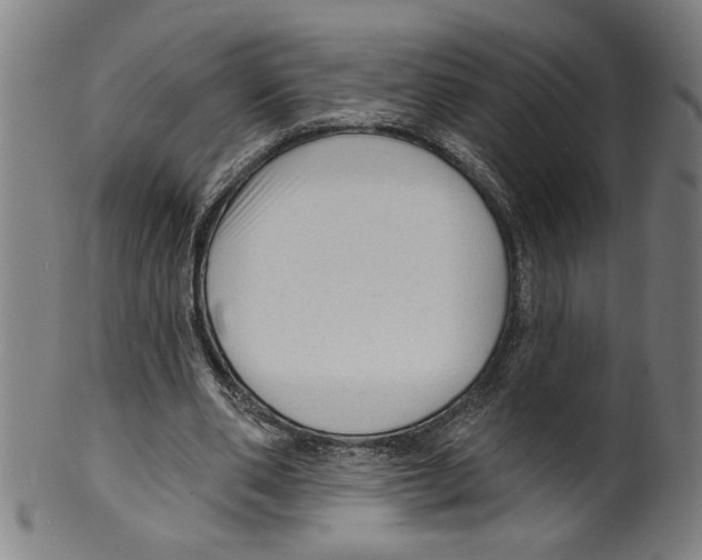 X0000099420486200806060958