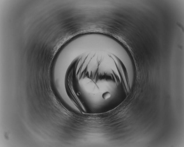 X0000099420487200806060958