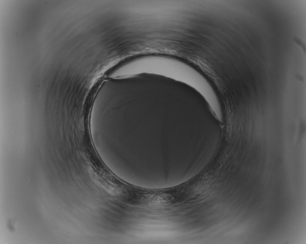 X0000099420488200806060958