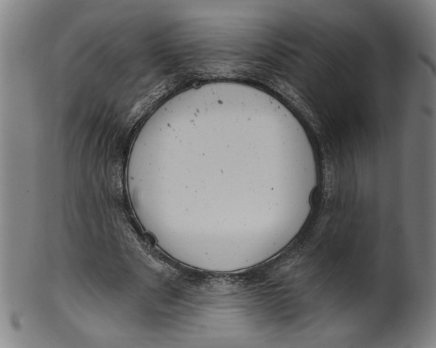 X0000099420489200806060958