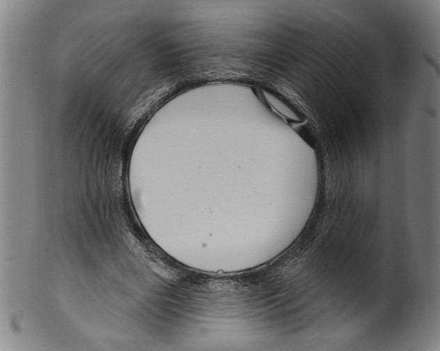 X0000099420490200806060958