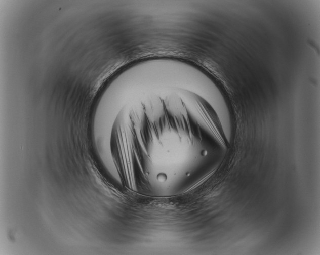 X0000099420491200806060958
