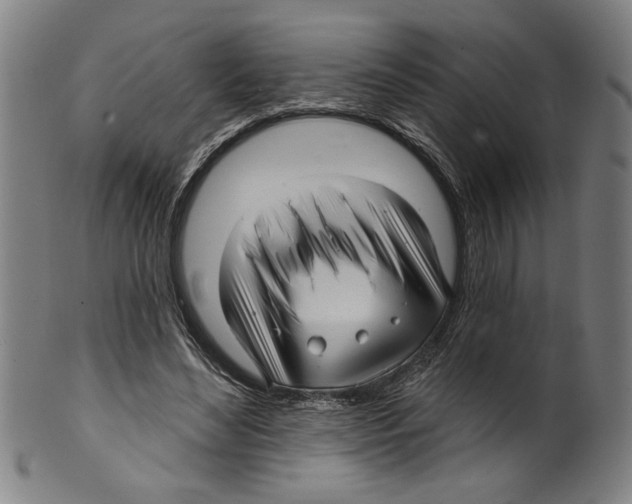 X0000099420492200806060958