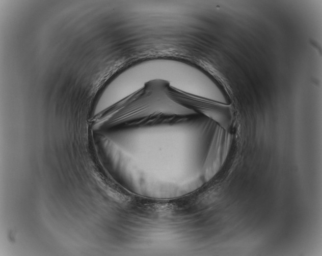 X0000099420493200806060958