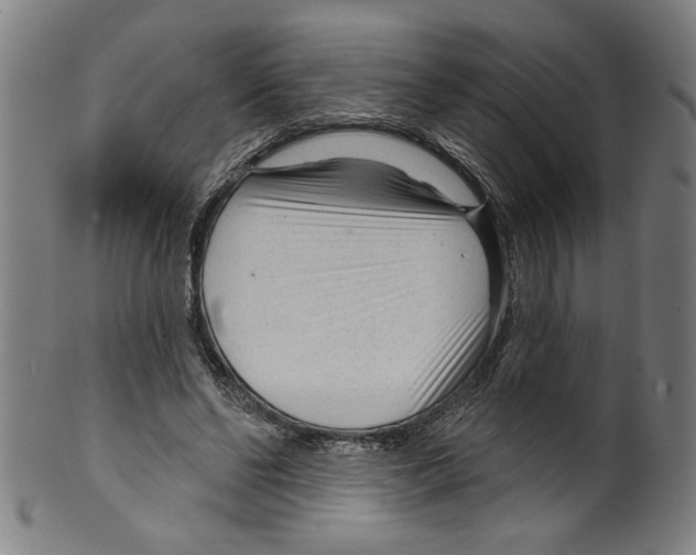 X0000099420494200806060958