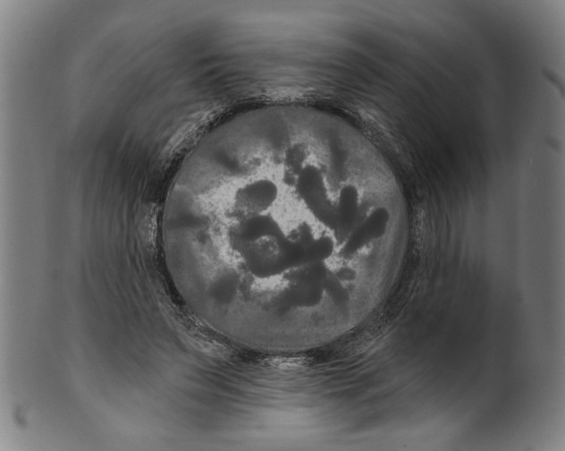 X0000099420495200806060958