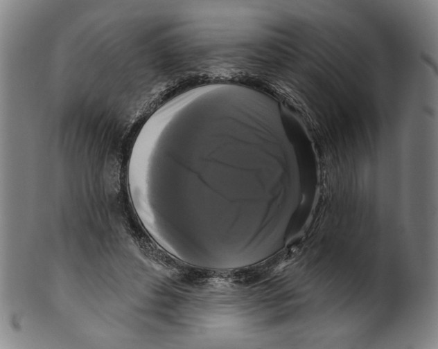 X0000099420496200806060958