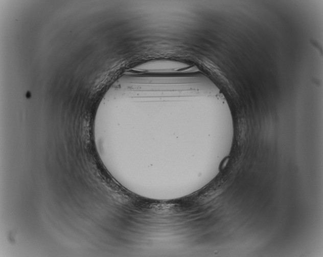 X0000099420497200806060958