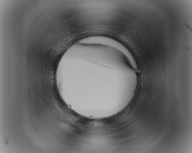 X0000099420498200806060958