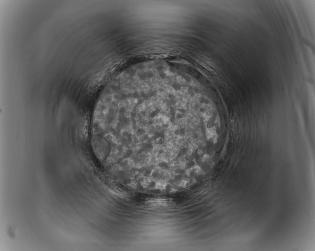 X0000099420499200806060958