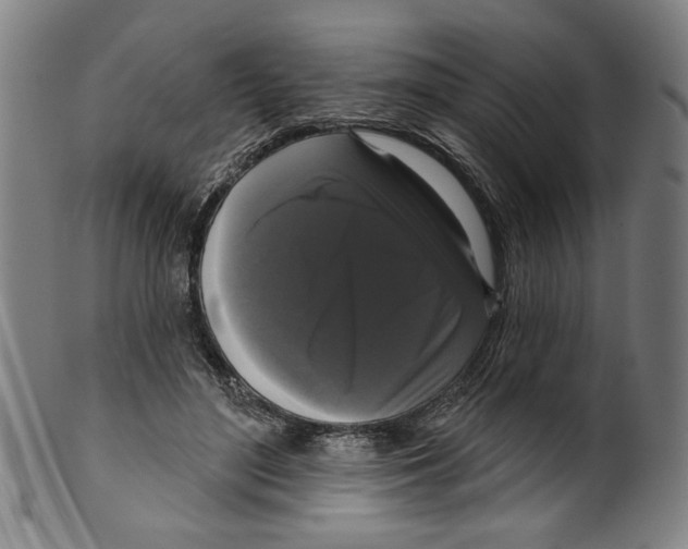 X0000099420500200806060958