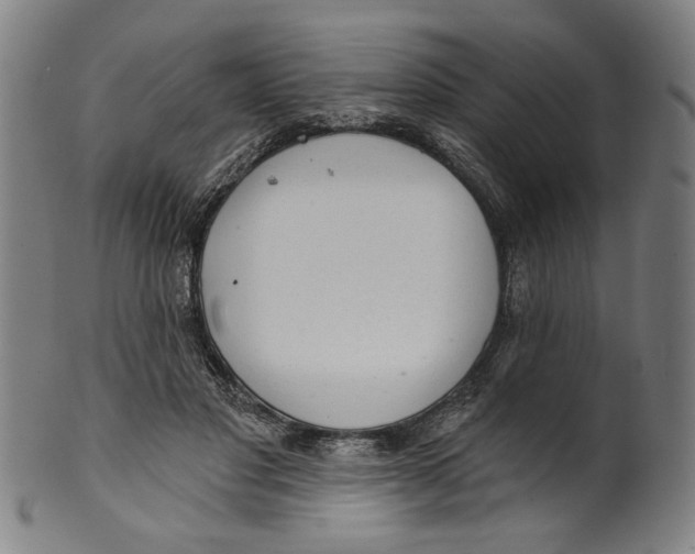 X0000099420501200806060958