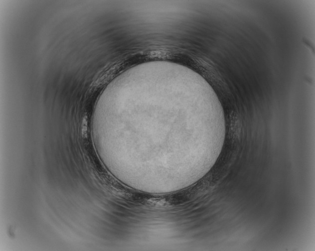 X0000099420502200806060958
