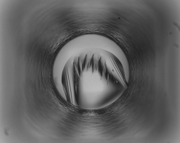X0000099420503200806060958