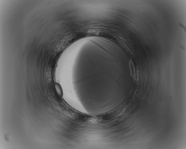 X0000099420504200806060958