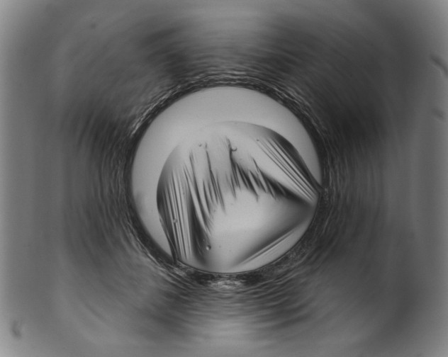 X0000099420508200806060958