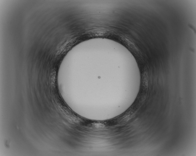 X0000099420509200806060958