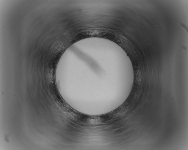 X0000099420510200806060958