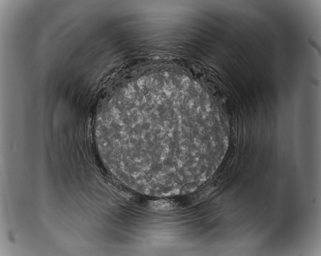 X0000099420511200806060958