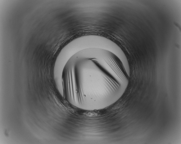 X0000099420512200806060958