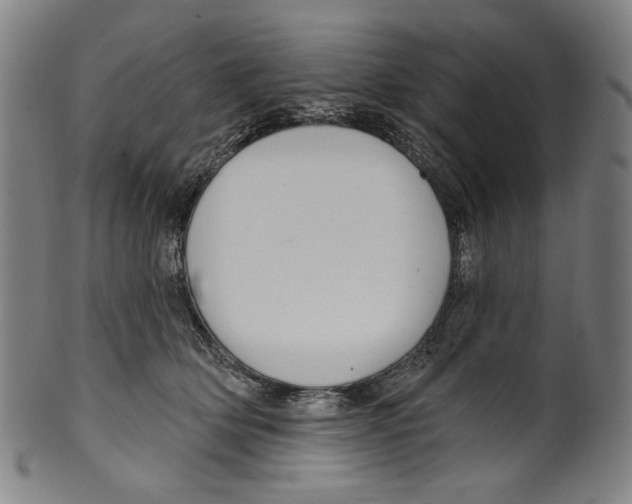 X0000099420514200806060958